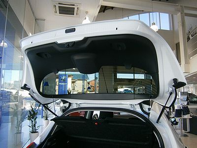 trunk1.jpg