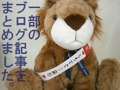 11月で、プジョー豊橋は1周年を迎えます。