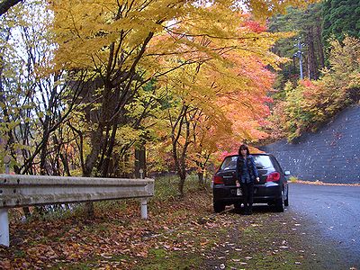 紅葉のシーズンの後は…？