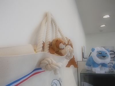 週末のぷちライオンは？