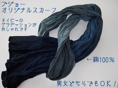 208ペダルカーの場所が決まったヨ