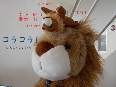 何が起きたのでショウ…