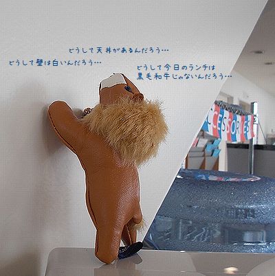 何が起きたのでショウ…