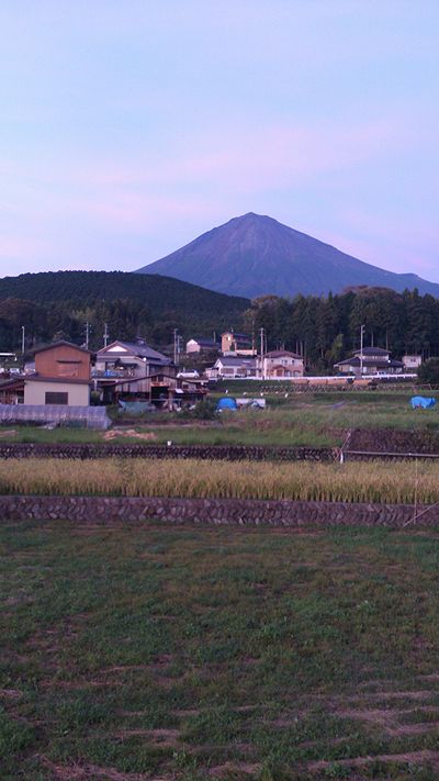 富士宮やきそば