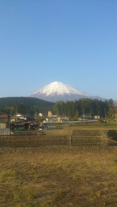 富士山