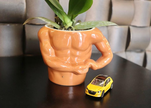 2月になりました。