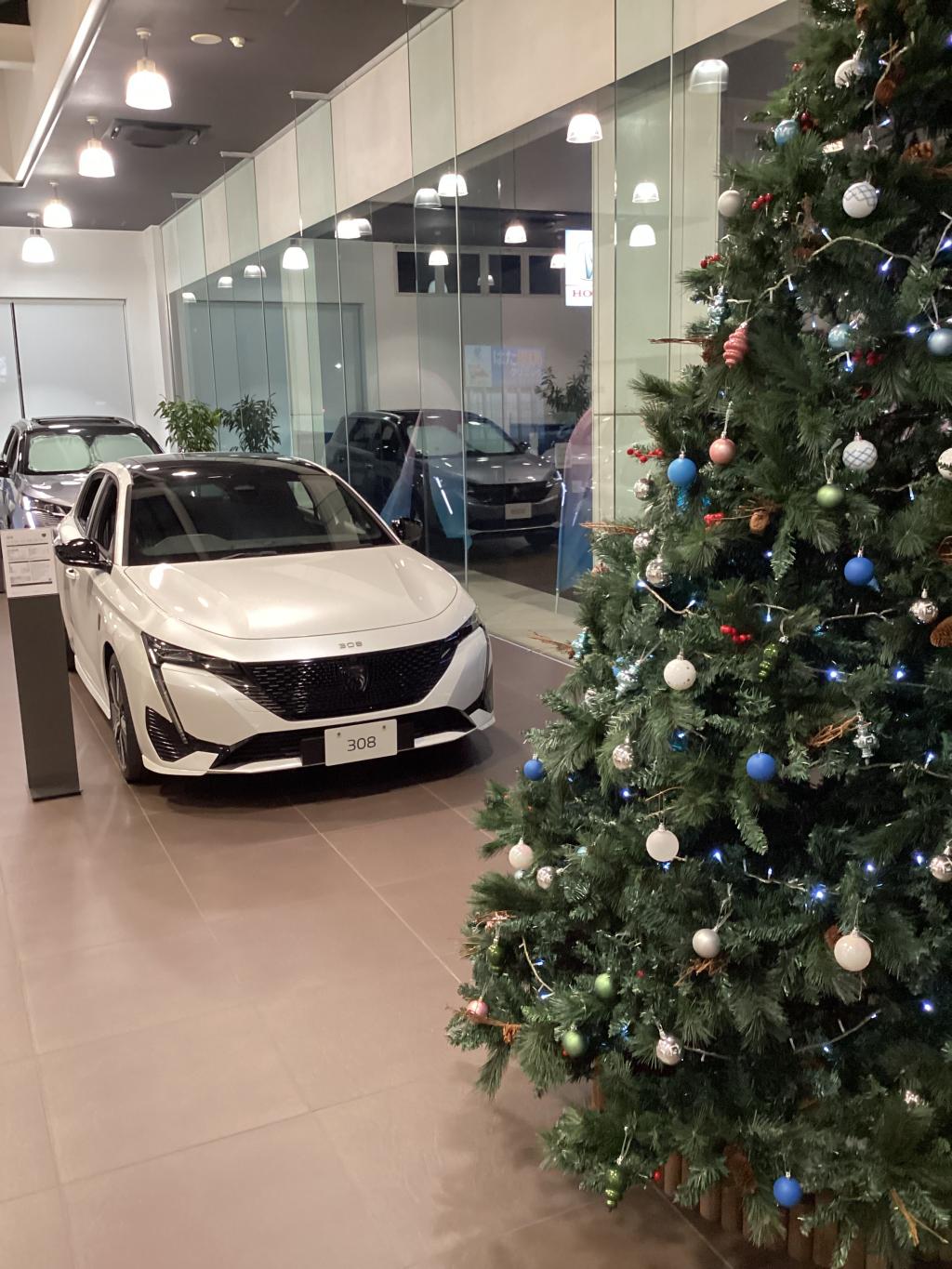 クリスマスツリー出しました🎄🦌🦌🛷🎁