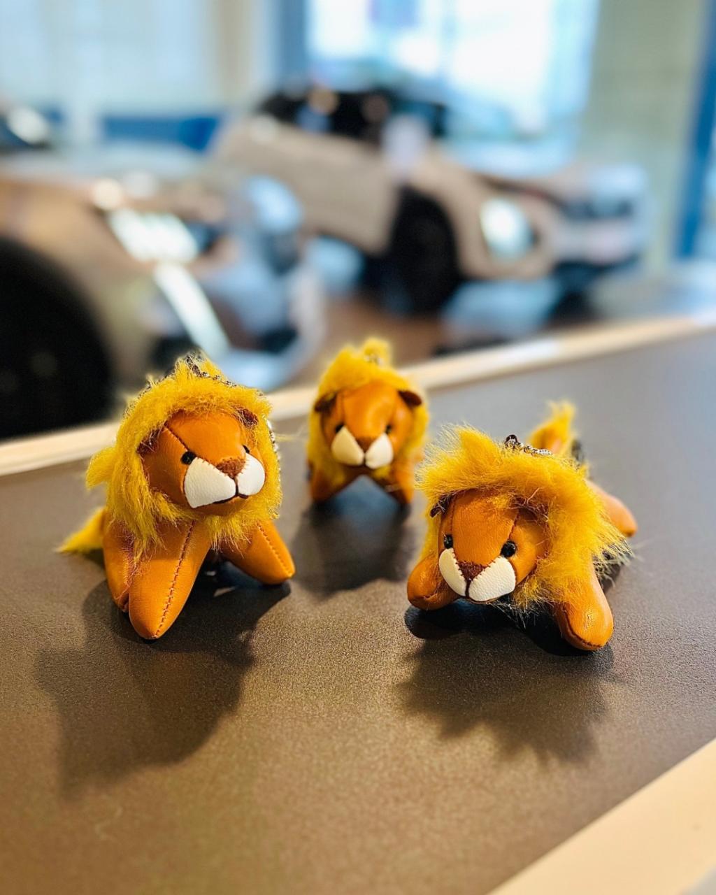 PETIT LION LIFE フェア