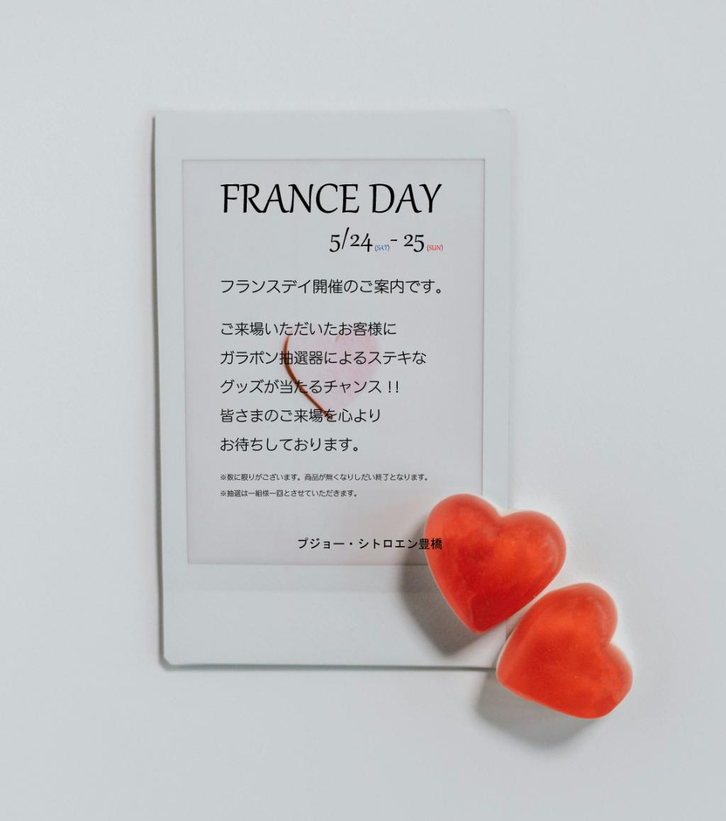 FRANCE DAY