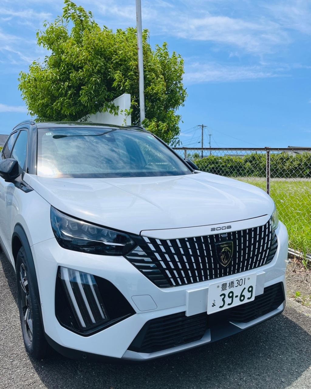 6月が始まりました
