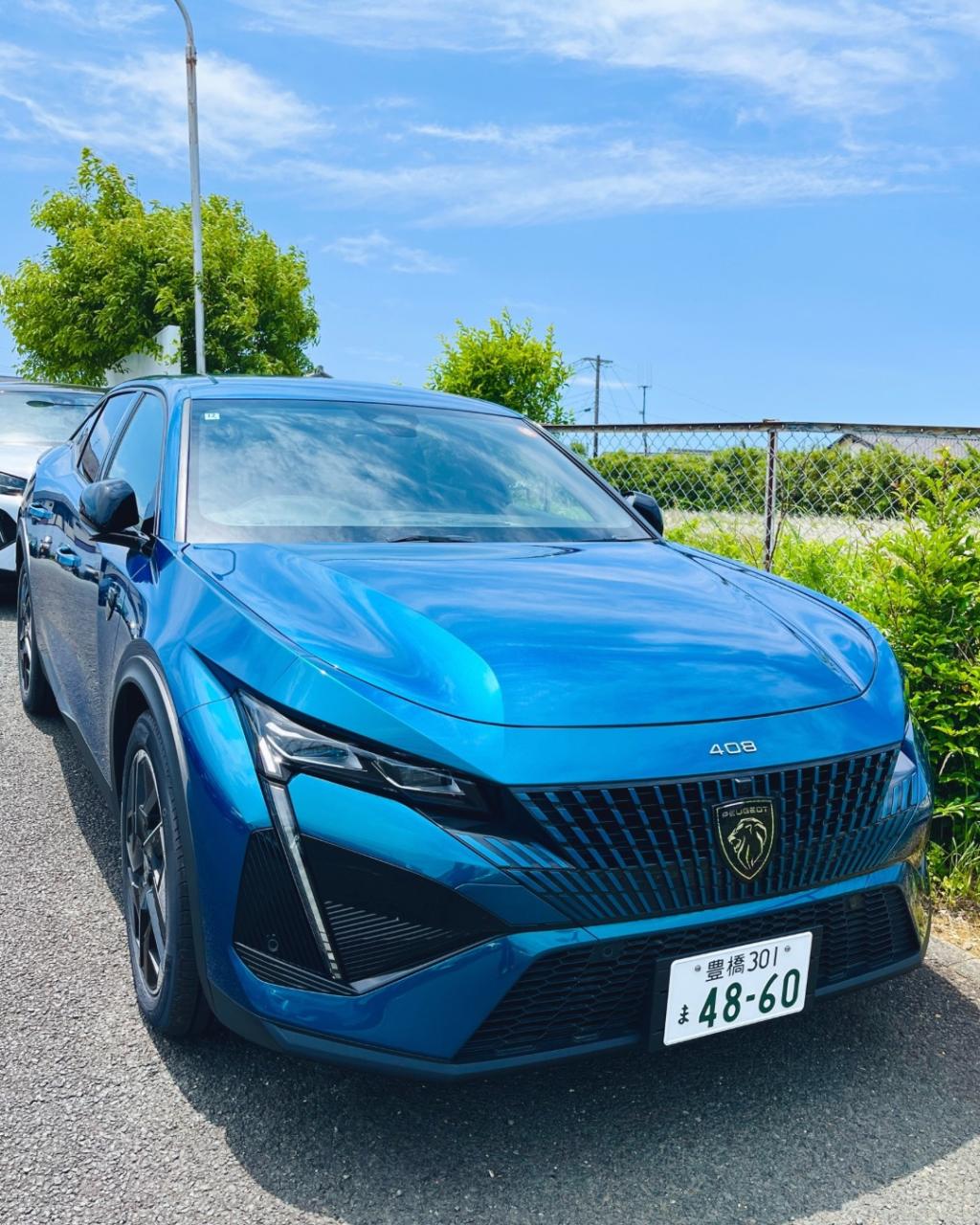6月が始まりました