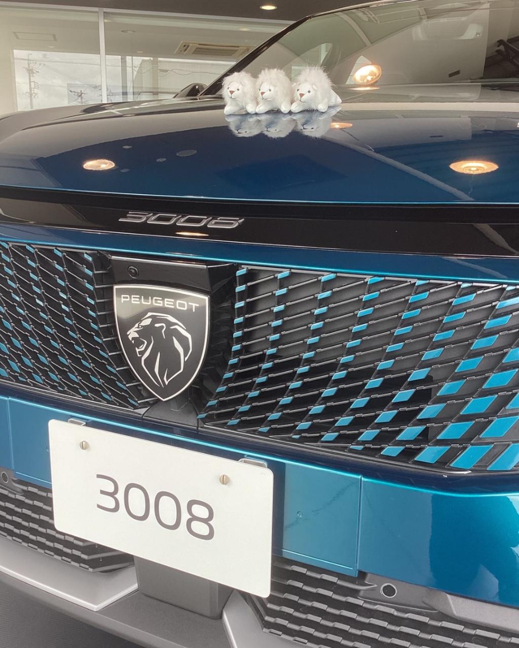 NEW 3008 デビューフェア開催中！
