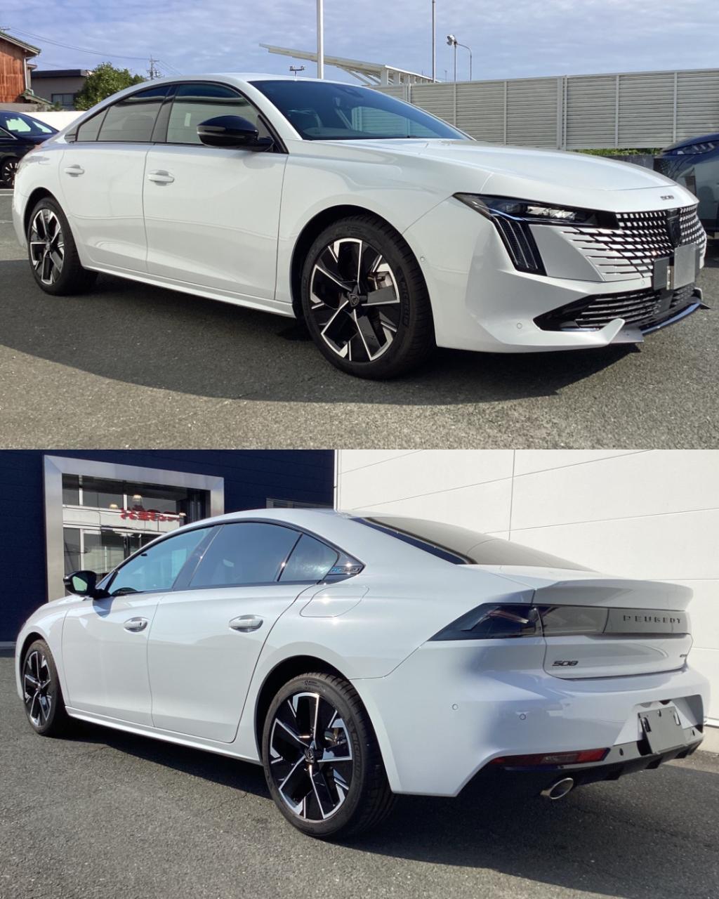 希少なNEW 508のご紹介