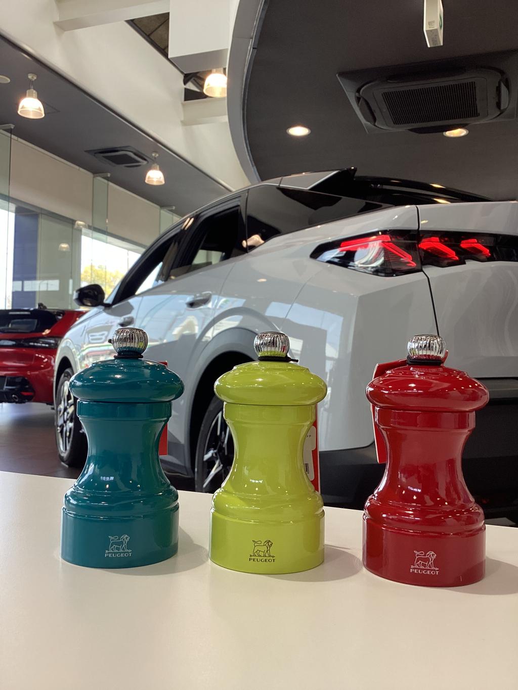 プジョーを操る悦び、体感試乗