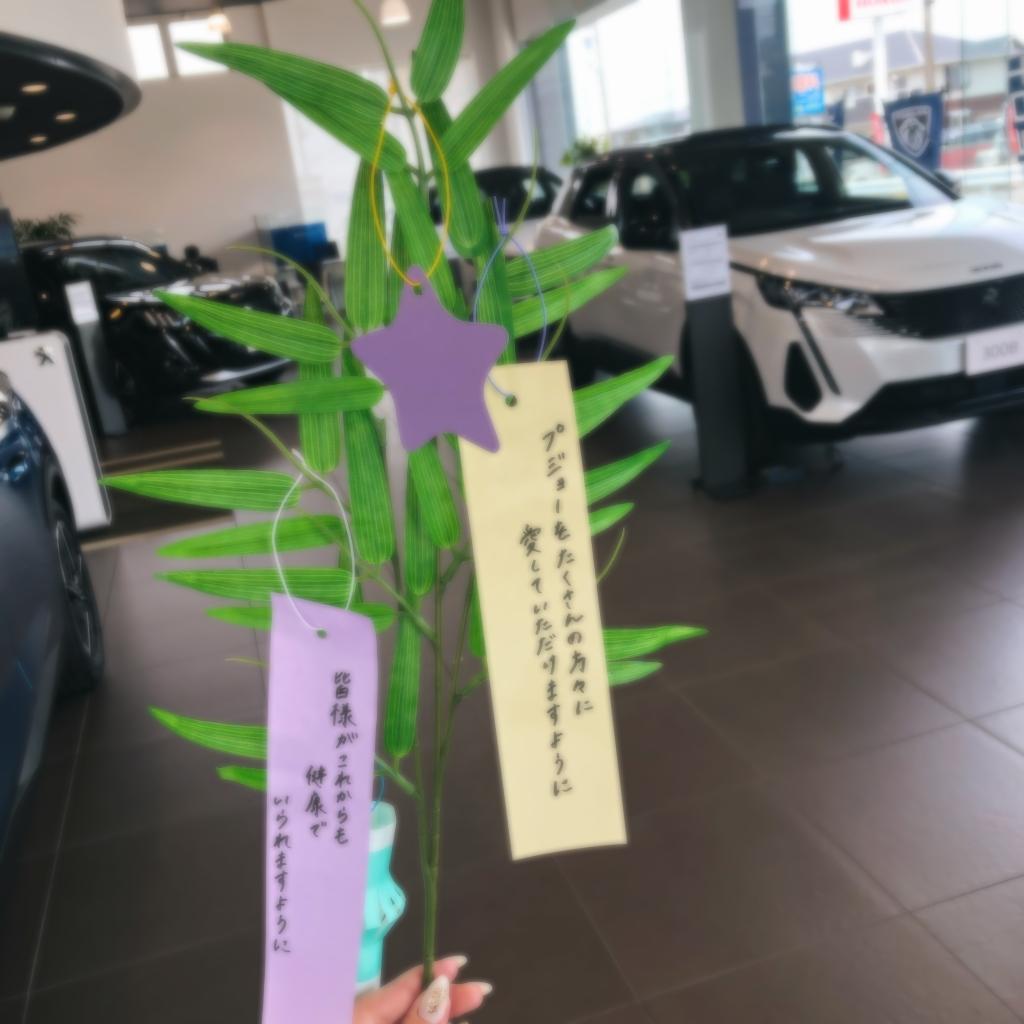 ◇本日は七夕🎋◇