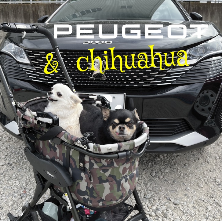 イチゴ狩り