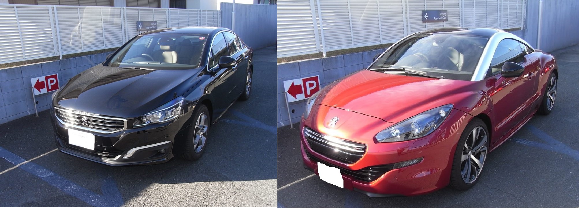 試乗車入れ替えました！