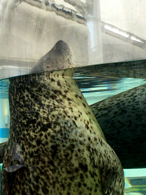 水族館♪