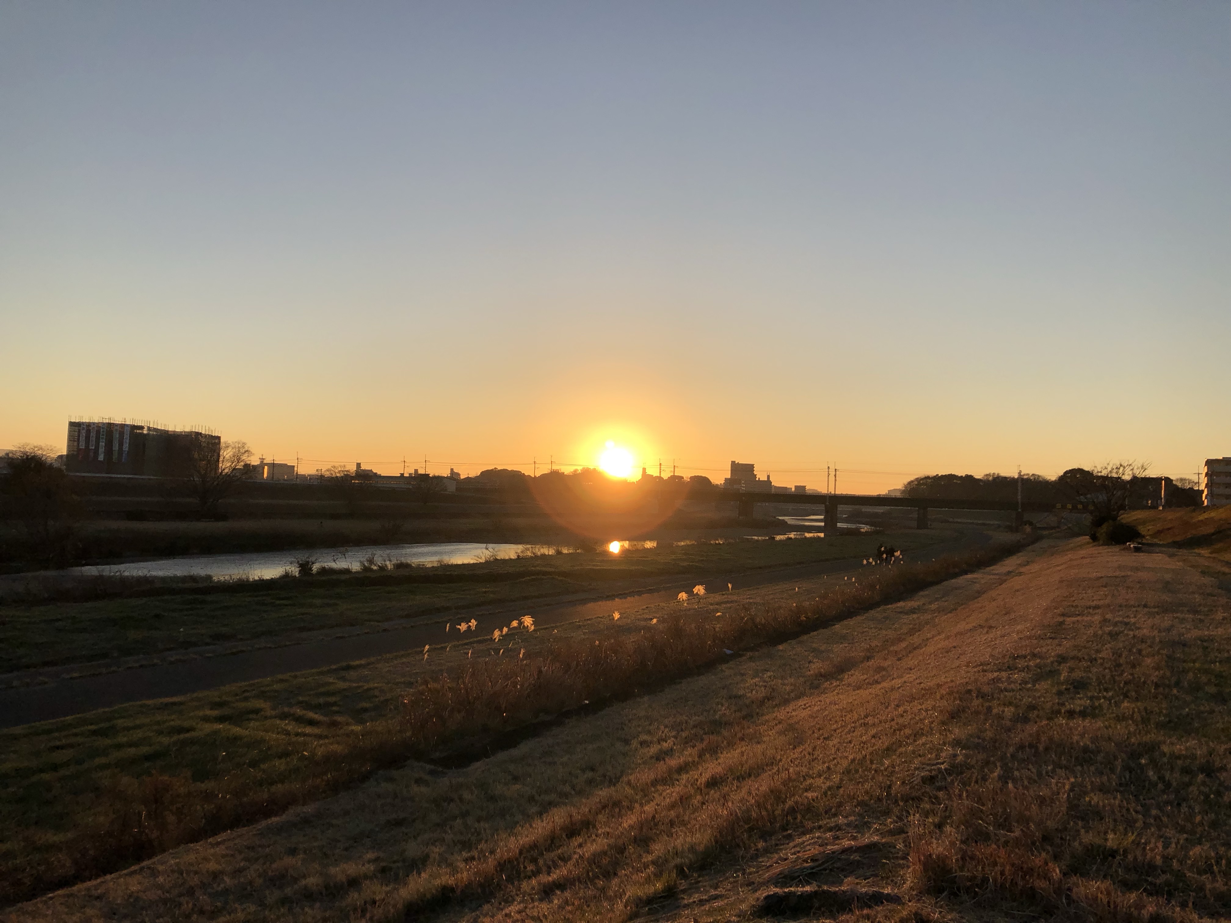 新年ご挨拶