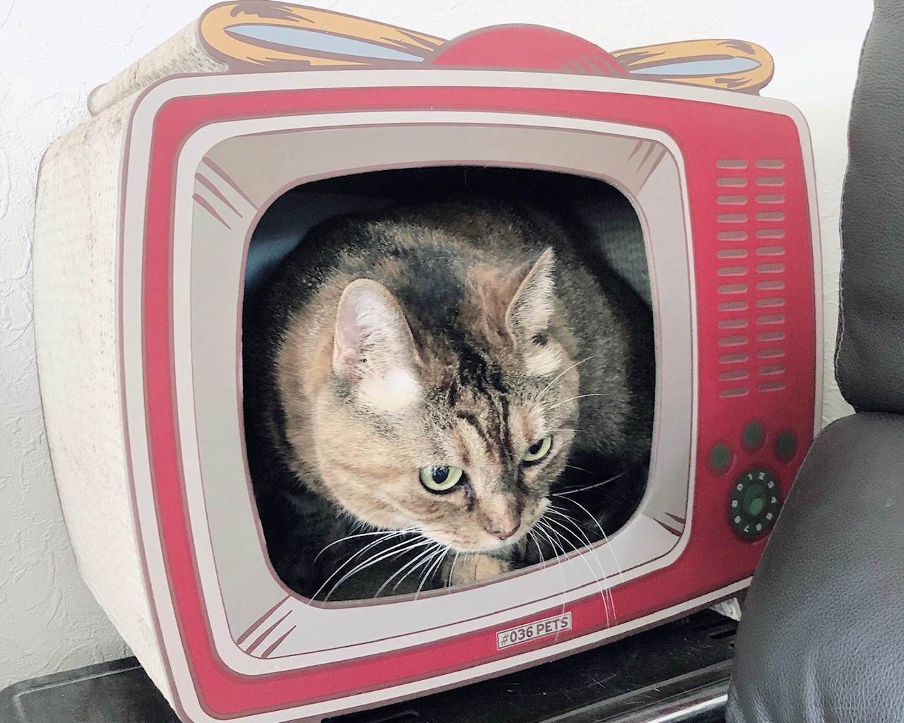 テレビの中に２