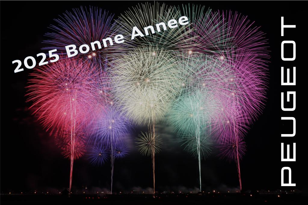 あけましておめでとうございます