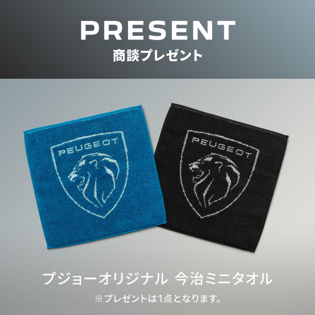 2008 GT HYBRID Selenium Edition